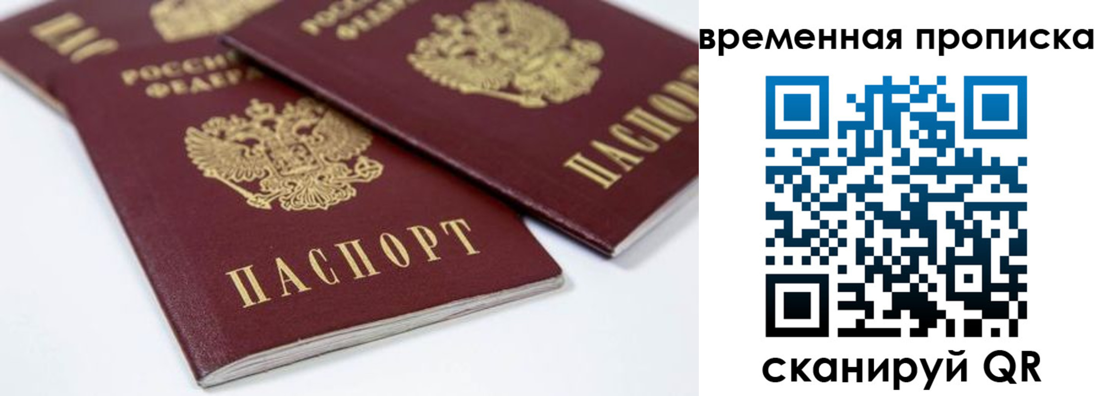прописка для школы в Кирсе